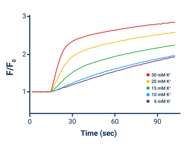 Figure 2. Effect of Varying Extracellular K+ Concentration on Voltage-activated Channel. HEK-293 cells expressing a voltage- activated K+ Channel were tested using Potassium Ion Channel in washed mode. Cells were then exposed to 1 mM Tl+ and varying concentrations of K+ ranging from 5– 30 mM.