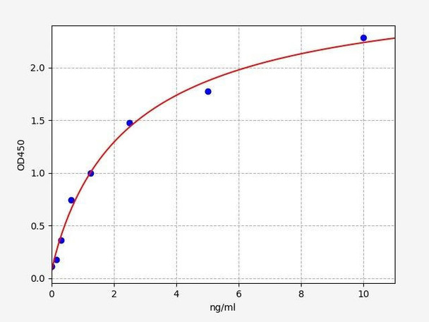 Human SLC7A11 / XCT ELISA Kit