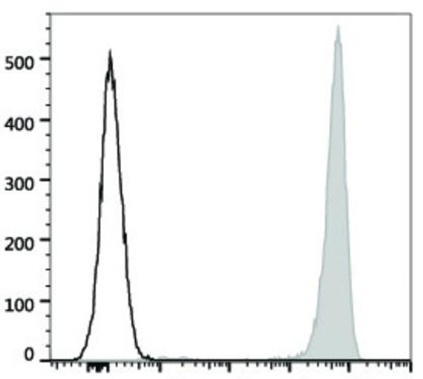 PE/Cyanine7 Anti-Human CD41 Antibody [HIP8] (AGEL1135)