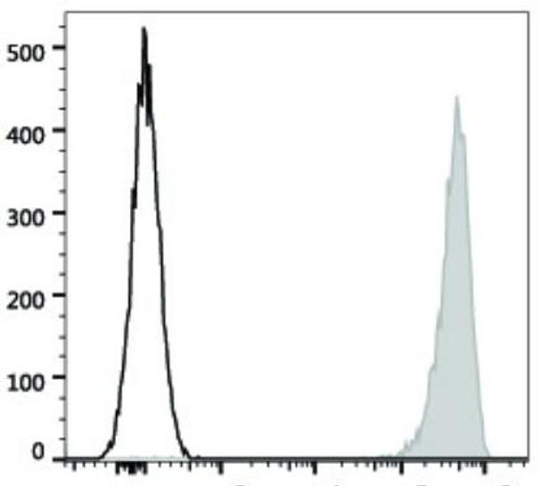 GenieFluor 647 Anti-Human CD41 Antibody [HIP8] (AGEL1138)