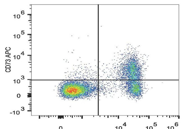 APC Anti-Mouse CD73 Antibody [TY/23] (AGEL1141)