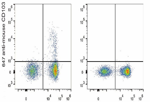 GenieFluor 647 Anti-Mouse CD103 Antibody [M290] (AGEL1152)