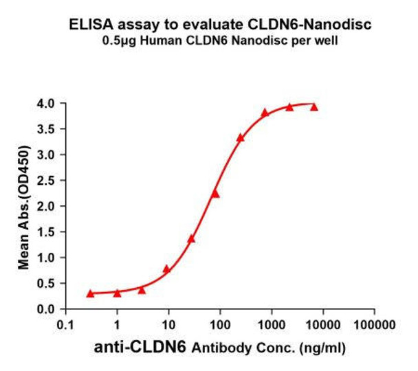 Human CLDN6 Full-Length Bioactive Membrane Protein (HDFP001)
