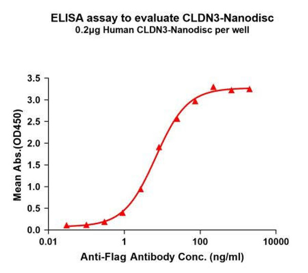 Human CLDN3 Full-Length Bioactive Membrane Protein (HDFP059)