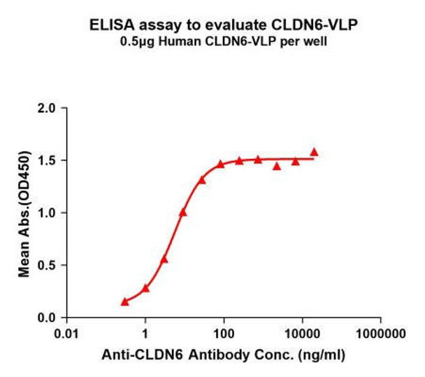 Human CLDN6 Full-Length Bioactive Membrane Protein (HDFP143)