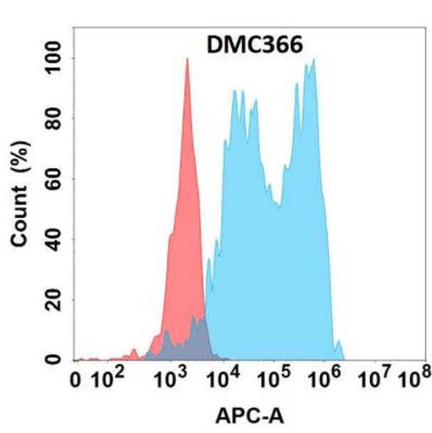 Anti-CFB Chimeric Recombinant Rabbit Monoclonal Antibody (HDAB0249)