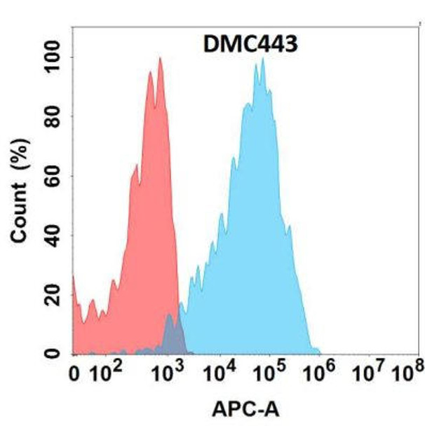Anti-CXCR7 Chimeric Recombinant Rabbit Monoclonal Antibody (HDAB0281)