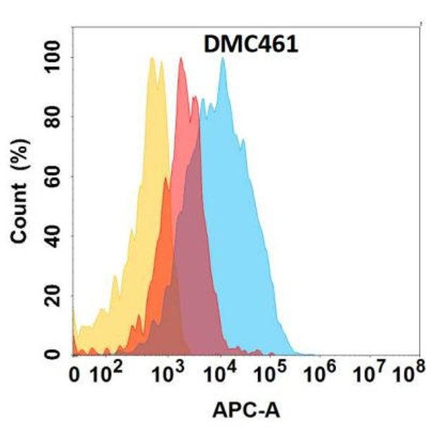 Anti-CLU Chimeric Recombinant Rabbit Monoclonal Antibody (HDAB0287)