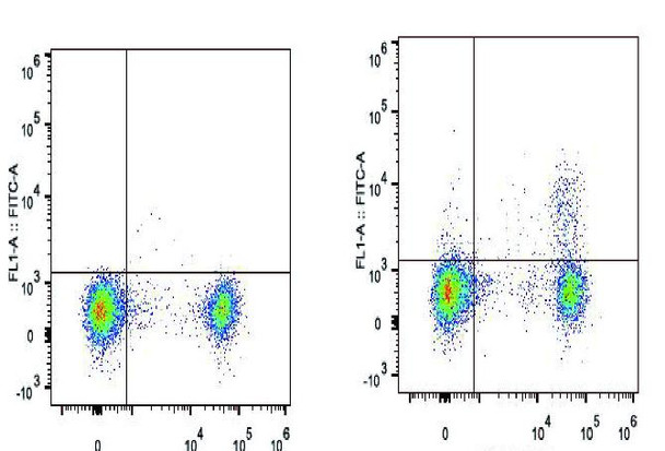 GenieFluor 488 Anti-Mouse CD25 Antibody [PC-61.5.3] (AGEL1303)