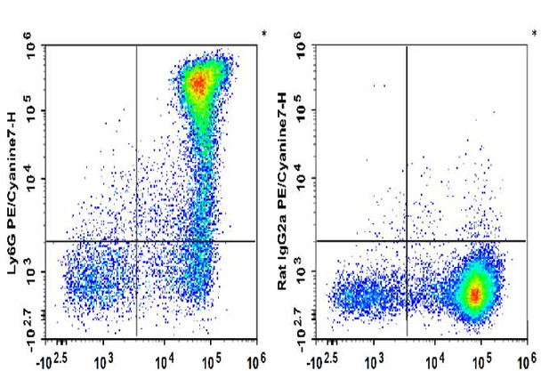 PE/Cyanine7 Anti-Mouse Ly6G Antibody [1A8] (AGEL1371)