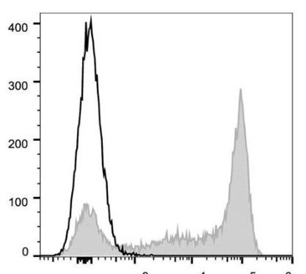 GenieFluor 647 Anti-Mouse Ly6G Antibody [1A8] (AGEL1374)