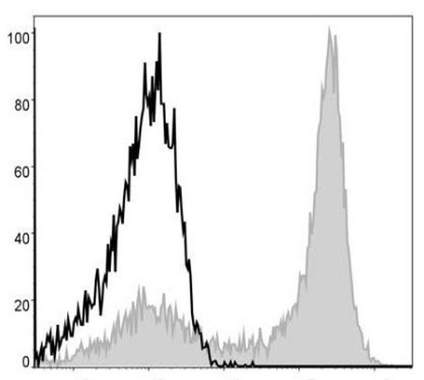 APC Anti-Mouse Ly6G Antibody [1A8] (AGEL1377)