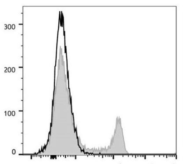 PerCP/Cyanine5.5 Anti-Human CD8a Antibody [OKT-8] (AGEL1393)