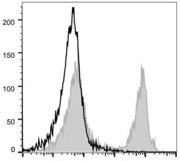 PE/Cyanine5 Anti-Mouse CD45R/B220 Antibody [RA3.3A 1/6.1] (AGEL1412)