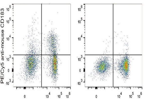 PE/Cyanine5 Anti-Mouse CD183/CXCR3 Antibody [CXCR3-173] (AGEL1431)