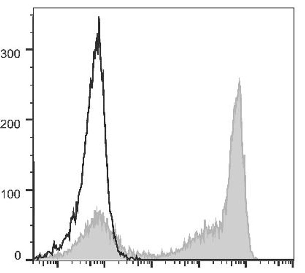 PE Anti-Mouse Ly-6G/Ly-6C (Gr-1) Antibody [RB6-8C5] (AGEL1480)