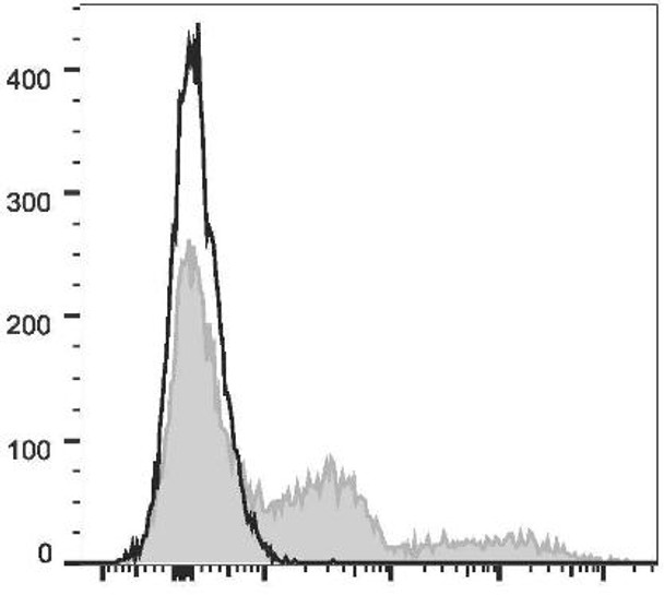 PE/Cyanine7 Anti-Mouse Ly-6G/Ly-6C (Gr-1) Antibody [RB6-8C5] (AGEL1484)