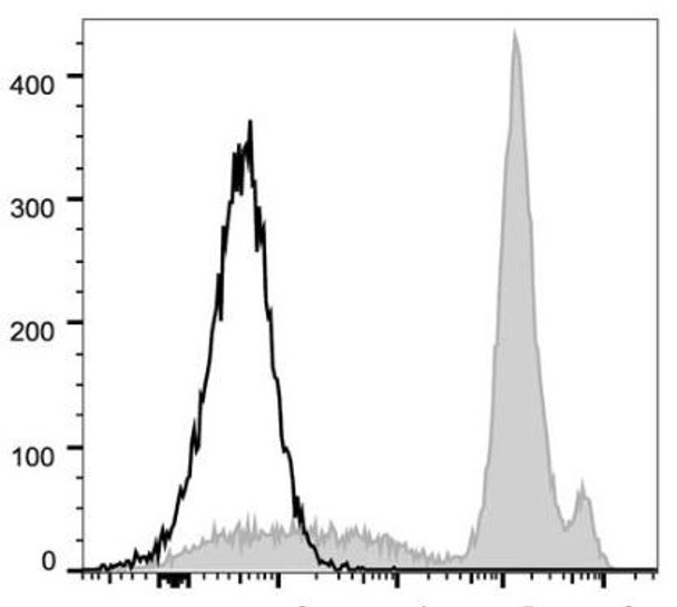 FITC Anti-Mouse Ly6C Antibody [Monts 1] (AGEL1502)