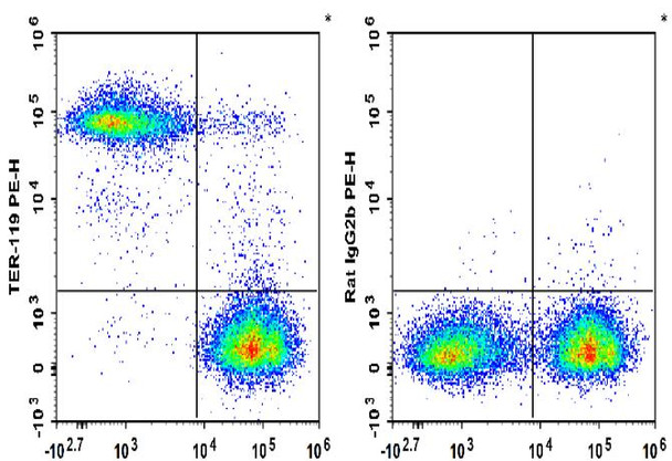 PE Anti-Mouse TER-119 Antibody [TER-119] (AGEL1568)