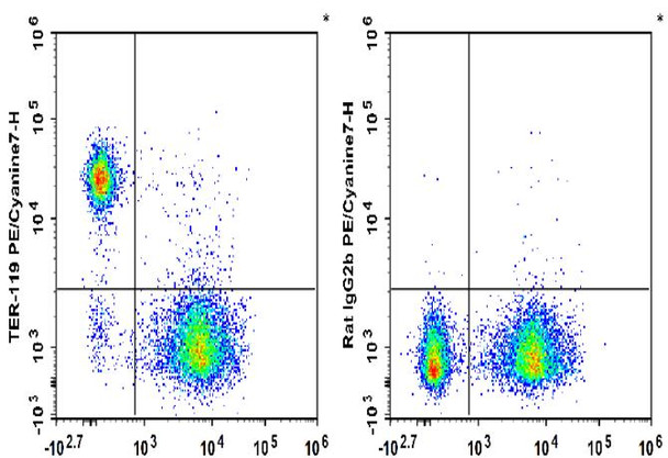 PE/Cyanine7 Anti-Mouse TER-119 Antibody [TER-119] (AGEL1571)