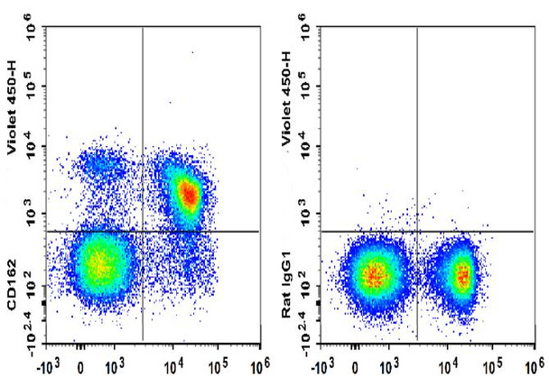 GenieFluor Violet 450 Anti-Mouse CD162 Antibody [4RA10] (AGEL3196)