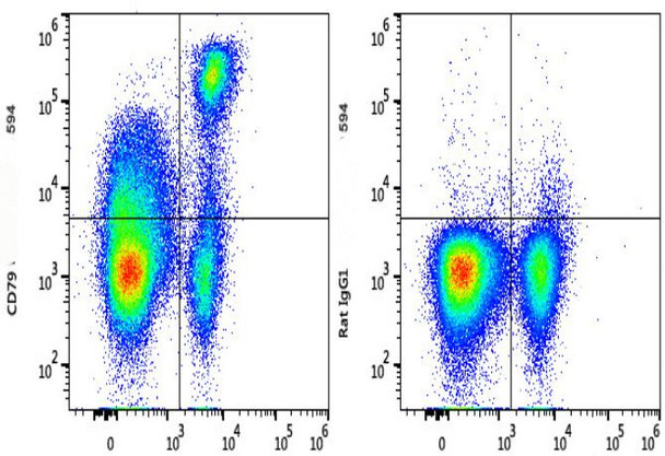 PE/GenieFluor 594 Anti-Mouse CD71 Antibody [R17 217.1.3/TIB-219] (AGEL3242)