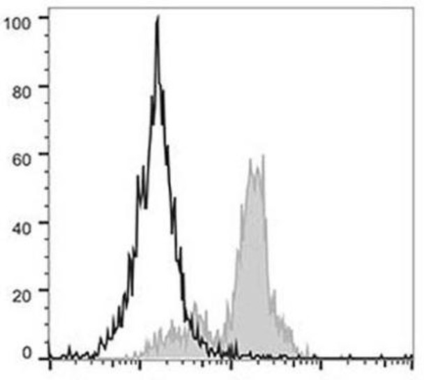 PerCP Anti-Human CD11c Antibody [BU15] (AGEL3260)