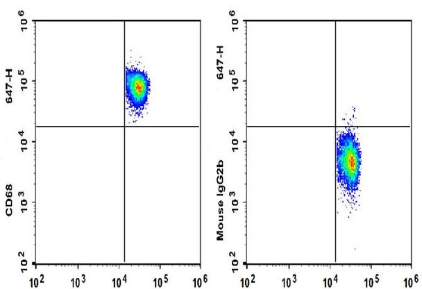 GenieFluor 647 Anti-Human CD68 Antibody [Y1/82A] (AGEL3314)