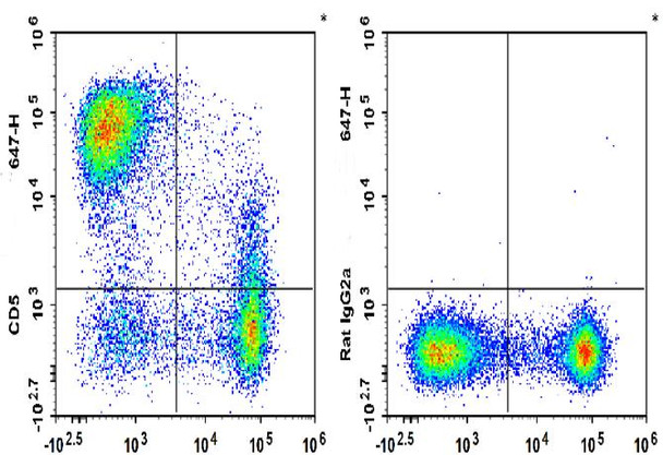 Biotin Anti-Mouse CD5 Antibody [53-7.3] (AGEL3334)