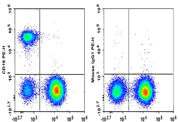 PE Anti-Human CD19 Antibody [HI19a] (AGEL3410)