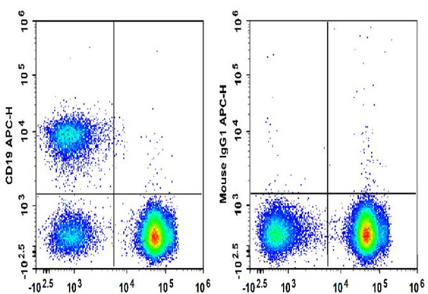 APC Anti-Human CD19 Antibody [HI19a] (AGEL3411)