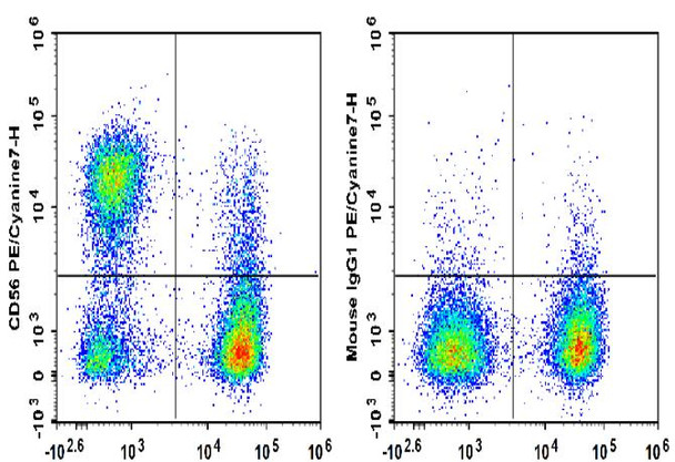 PE/Cyanine7 Anti-Human CD56 Antibody [B-A19] (AGEL3420)