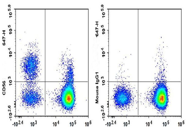 GenieFluor 647 Anti-Human CD56 Antibody [B-A19] (AGEL3422)