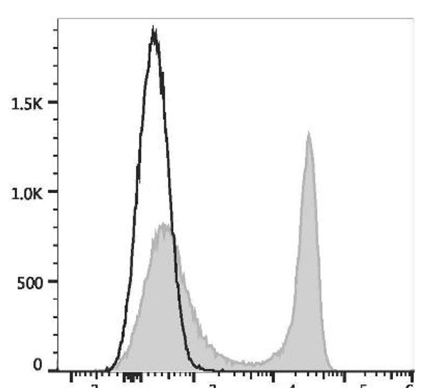 APC Anti-Rat CD45RA Antibody [OX-33] (AGEL3425)