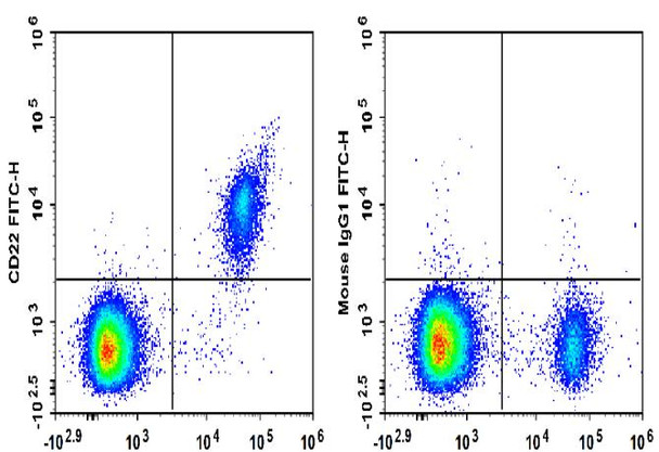 FITC Anti-Human CD22 Antibody [HIB22] (AGEL3436)