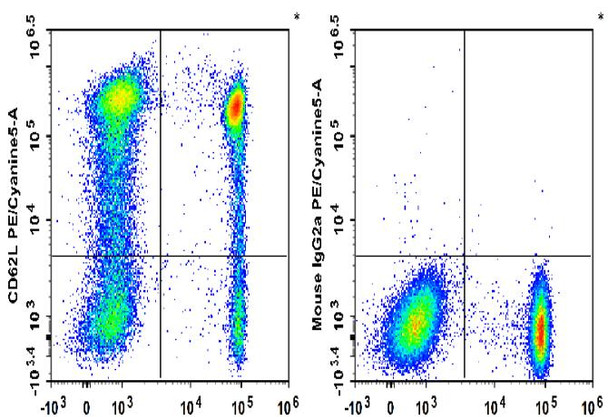 PE/Cyanine5 Anti-Human CD62L Antibody [HI62L] (AGEL3487)