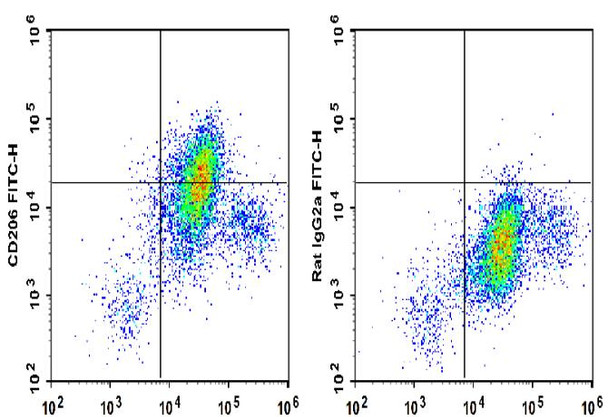 FITC Anti-Mouse CD206 Antibody [C068C2] (AGEL1651)