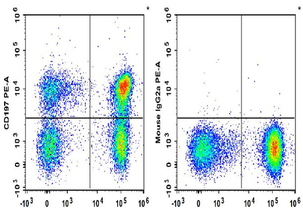 PE Anti-Human CD197/CCR7 Antibody [G043H7] (AGEL1803)