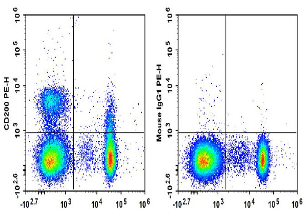 PE Anti-Human CD200 Antibody [OX-104] (AGEL1811)