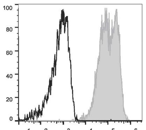 PE/Cyanine7 Anti-Human CD90 Antibody [5E10] (AGEL1832)