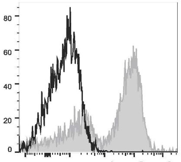 PE/Cyanine7 Anti-Mouse CD14 Antibody [Sa14-2] (AGEL1876)