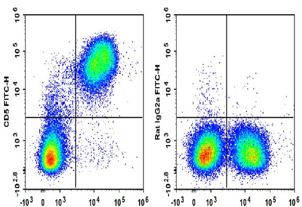 FITC Anti-Mouse CD5 Antibody [53-7.3] (AGEL1960)