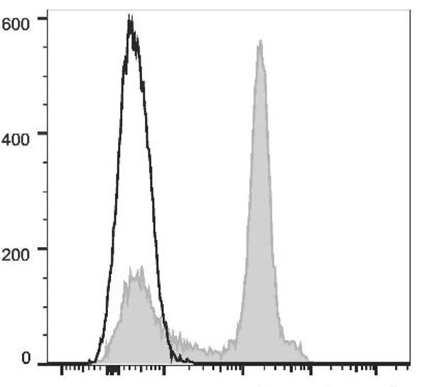 APC Anti-Mouse CD38 Antibody [NIMR5] (AGEL2012)