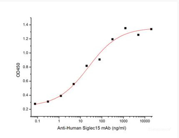 Recombinant Human Sialic acid-binding Ig-like lectin 15/Siglec-15/CD33L3 (C-mFC)