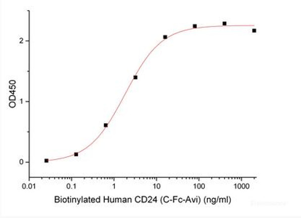 Recombinant Human Signal Transducer CD24/CD24 (C-Fc-Avi)  Biotinylated