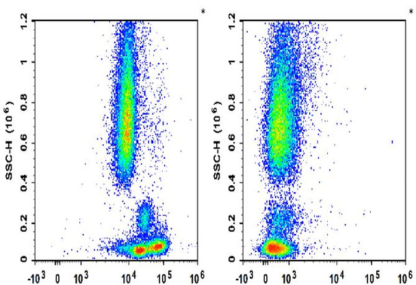 PE Anti-Human CD11a Antibody [R7-1] (AGEL2086)