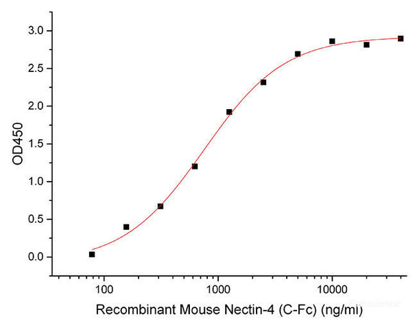 Recombinant Mouse Nectin-4 (C-Fc)