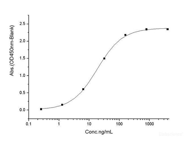 SARS-CoV Spike Recombinant Protein (RBD, mFc Tag) (Active)