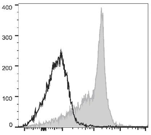 PerCP/Cyanine5.5 Anti-Rat CD44H Antibody [OX-49] (AGEL2430)