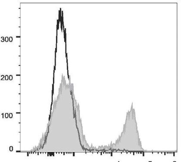 PE Anti-Rat CD3 Antibody [G4.18] (AGEL2459)